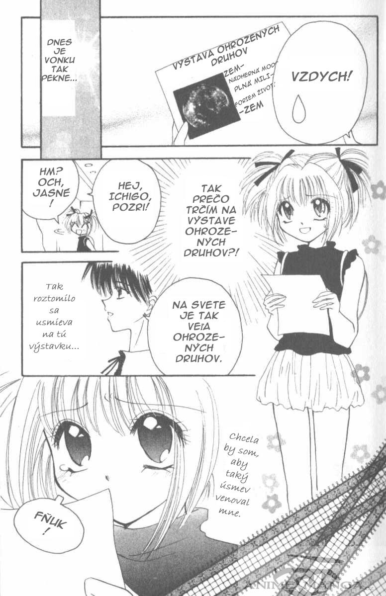 Tokyo Mew Mew 3.jpg